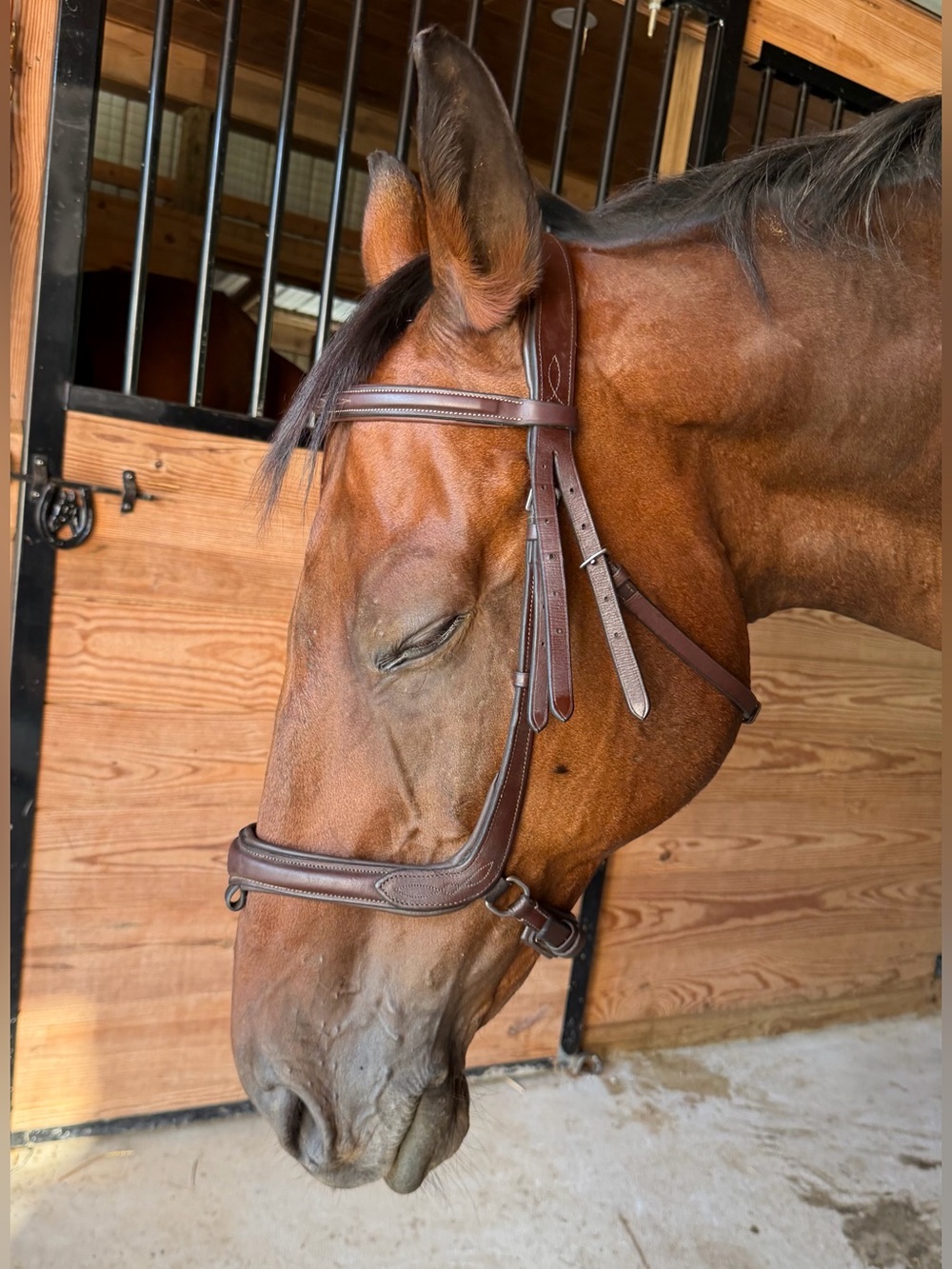 KAVALKADE BRIDLE IVY

Brown leather  full size. Partial